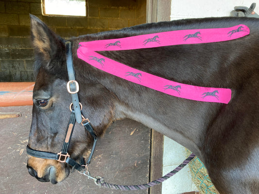 How Equine Kinesiology Tape help my Horse?